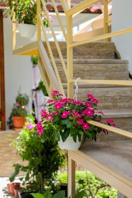 Cereni Guesthouse Берат Екстер'єр фото